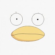 Daoistfloppy