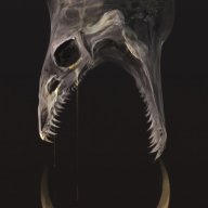 God_Walker