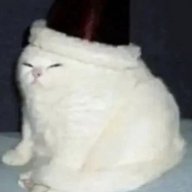 BigupBirdup