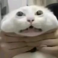 eehh047