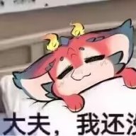 DoggyDogDogPaws