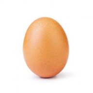 eggboiconfused
