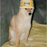 butterdog
