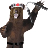 Karate Bear