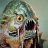 Slake Mothman