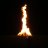 Burningtree