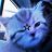 randomperson2