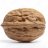 Absolute_Walnut