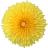 AngusOfTheDandelion