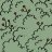 Apropos_Of_Crow