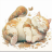 The Tangerine Cat
