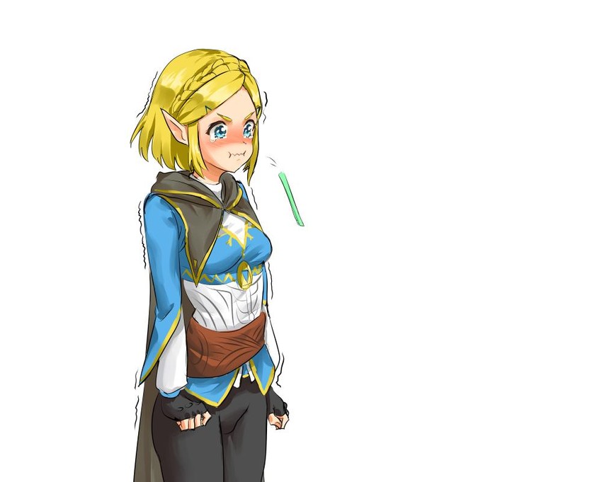 __princess_zelda_the_legend_of_zelda_breath_of_the_wild_2_and_etc_drawn_by_athenawyrm__sample-3460b865cf8a584e5d26086a105abfd8.jpg