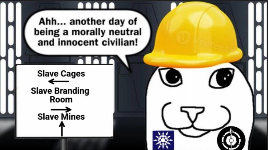 ik46cypde8jf1.jpeg