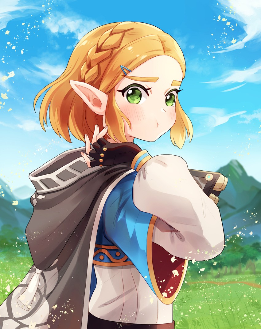 __princess_zelda_the_legend_of_zelda_breath_of_the_wild_2_and_etc_drawn_by_amy30535__sample-3fc66a0fe216a2cf9a7297b3c9c6b2b2.jpg