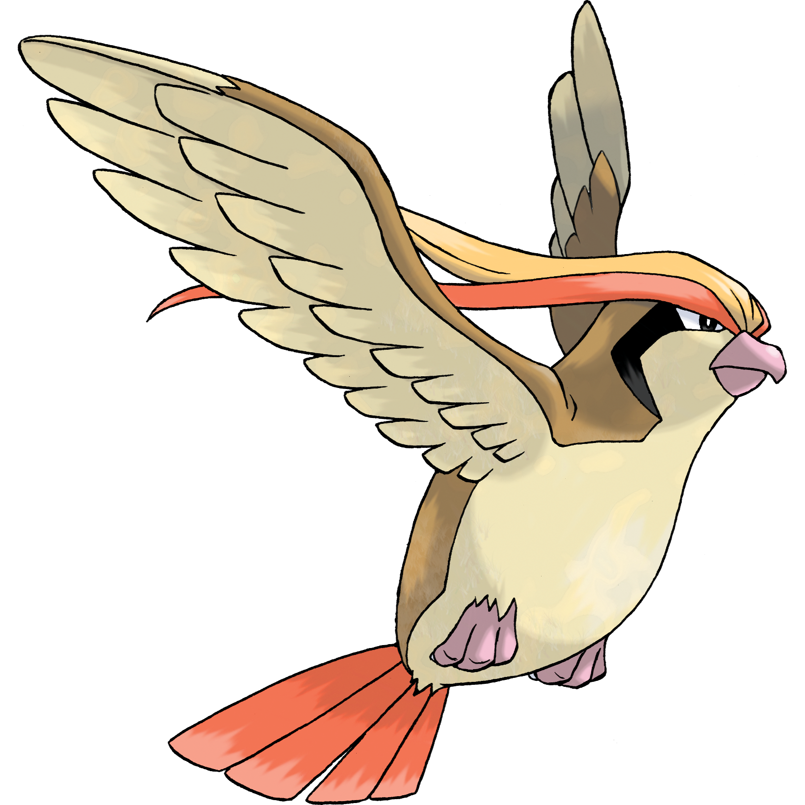 0018Pidgeot.png