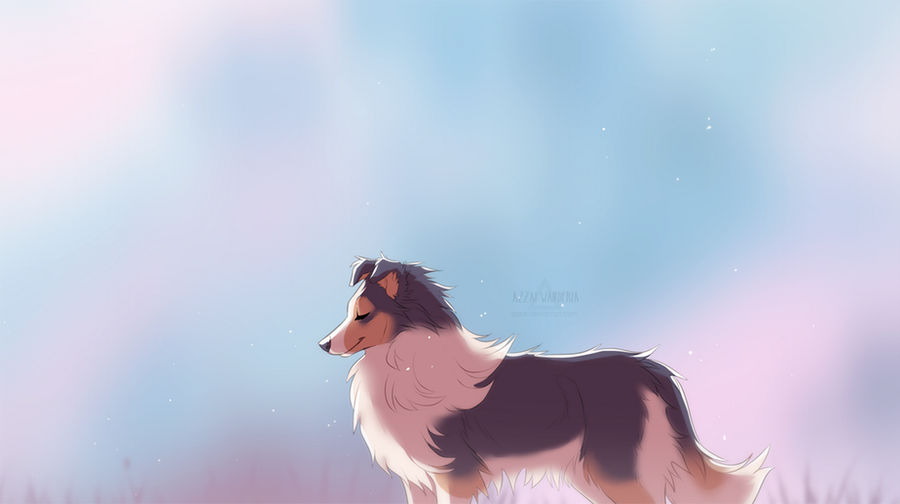 love_sheltie_by_azzai_dc9i94d-fullview.jpg