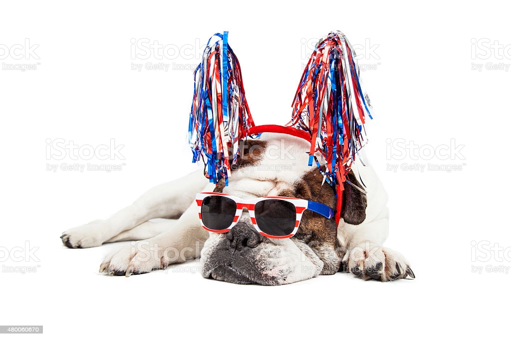 funny-fourth-of-july-dog-picture-id480060670