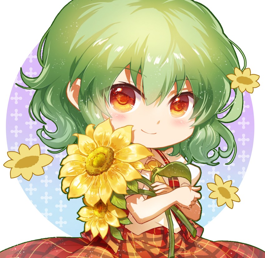 __kazami_yuuka_touhou_drawn_by_shangguan_feiying__sample-dcf3b00ed33a4b71438618472c0de5ad.jpg