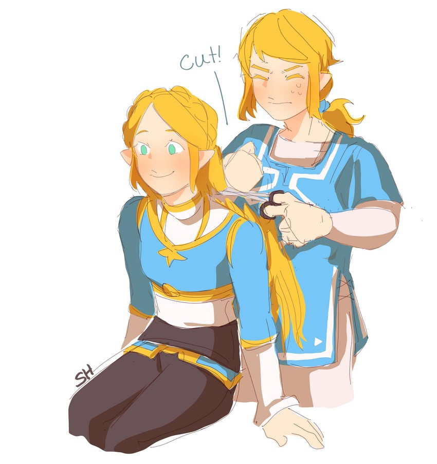 __link_and_princess_zelda_the_legend_of_zelda_breath_of_the_wild_2__sample-4ad769079c096cb1ac79341ac288bf7b.jpg