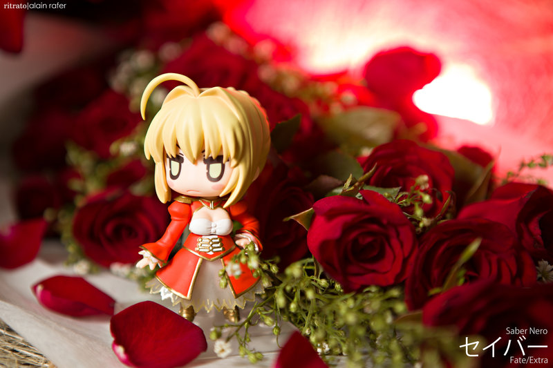 fate_extra___saber_nero_by_alainbrian-d6y5kbh.jpg