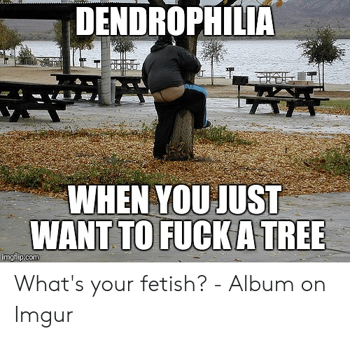 dendrophilia-when-you-just-want-to-fuck-a-tree-imgflip-com-50410421.png