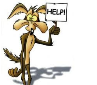 Mr-wile-e-coyote-105715184424.png