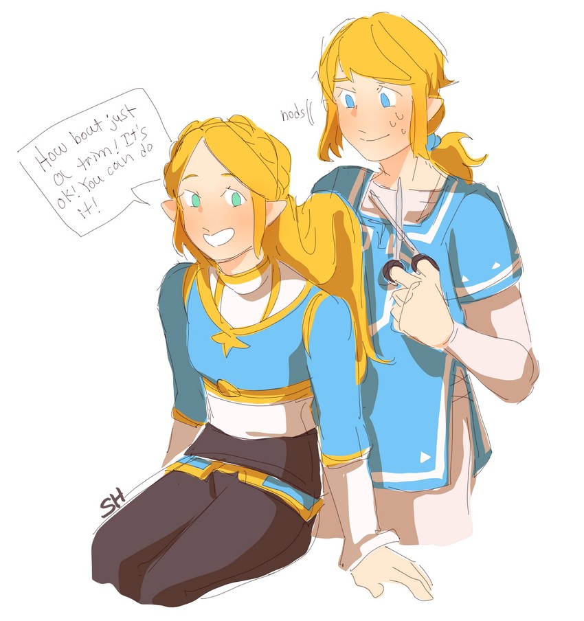 __link_and_princess_zelda_the_legend_of_zelda_breath_of_the_wild_2__sample-637dcf0b048149b84c0ba5cb8adeeeca.jpg