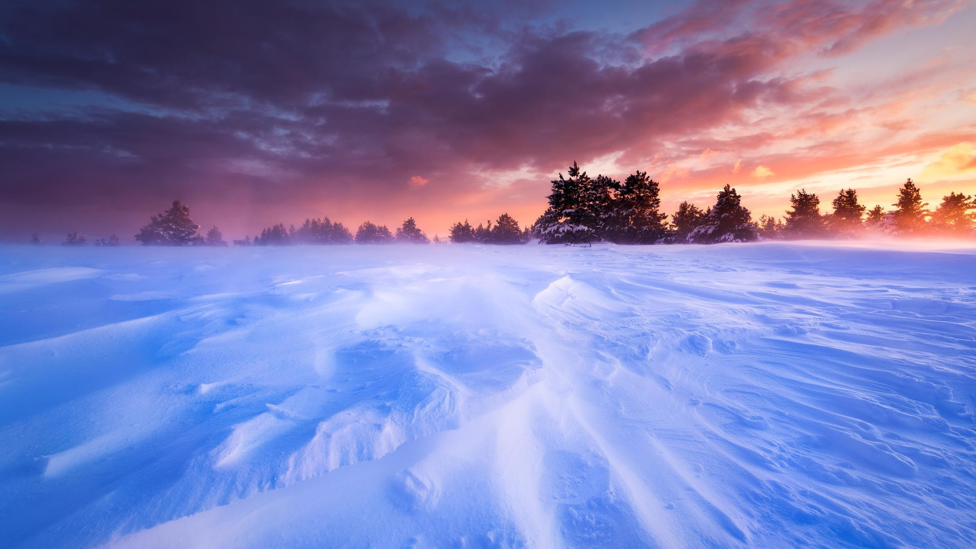 France-Provence-plains-snow-winter-trees-sunset_1920x1080.png