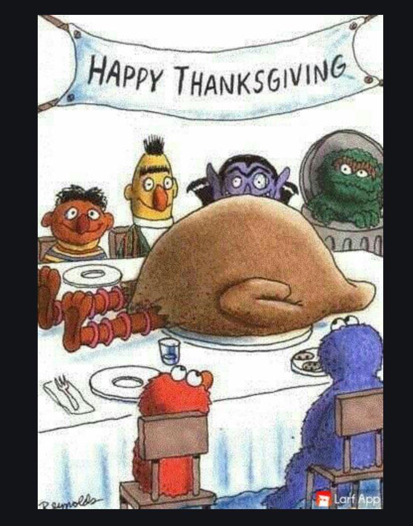 TurkeyDayMemes-1-Big-Bird-Day72.jpg