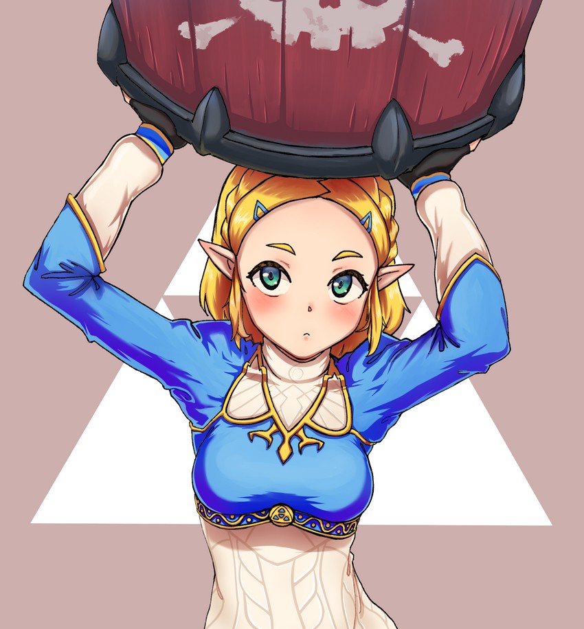 __princess_zelda_the_legend_of_zelda_breath_of_the_wild_2_and_etc_drawn_by_radioneet__sample-6be639b42c6433b3a2ed98c91e269678.jpg