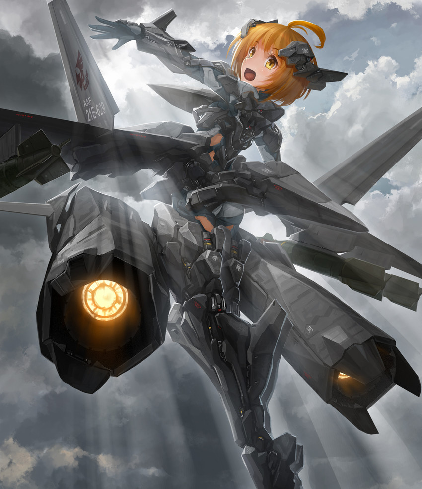 __xfa_24a_apalis_ace_combat_x_and_etc_drawn_by_tom_neko_zamudo_akiyuki__sample-cccdb8a598ef37c57e719d96851dd809.jpg