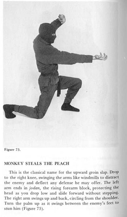 monkey-steals-peach-1.jpg