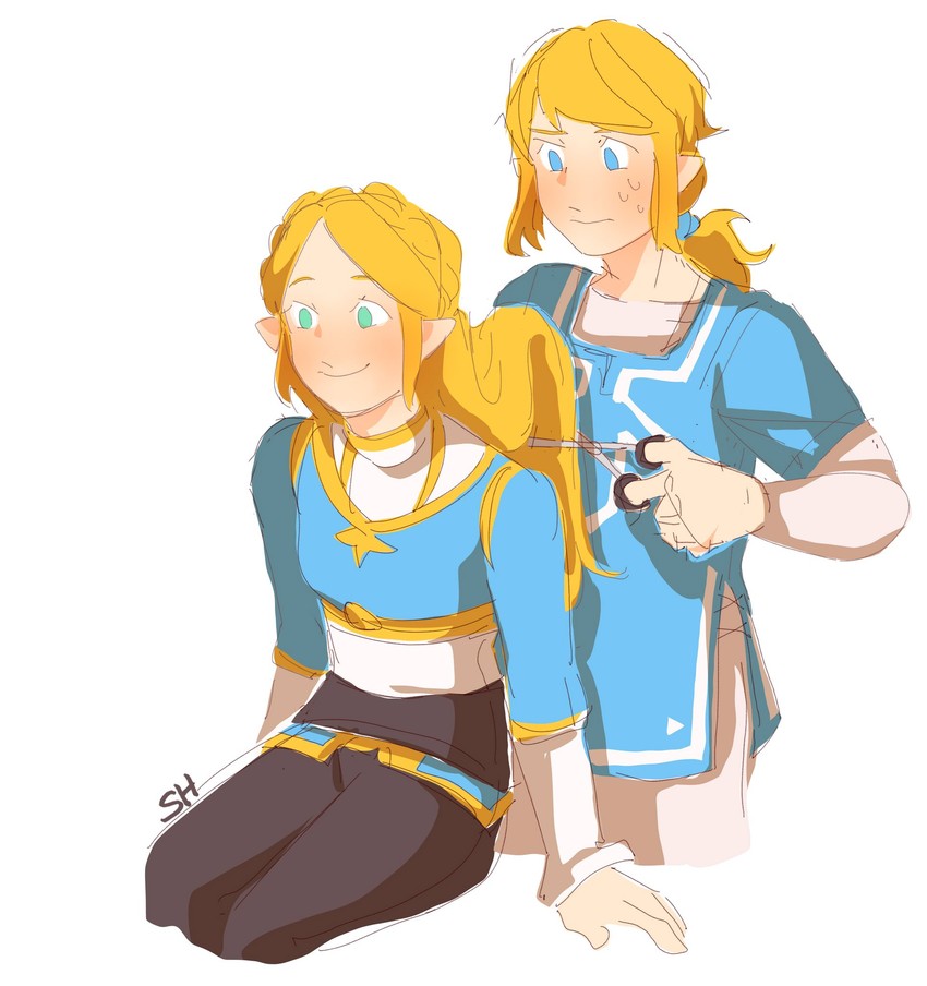 __link_and_princess_zelda_the_legend_of_zelda_breath_of_the_wild_2__sample-ad2f6f7993fc6b87ed5b23de361b22a9.jpg