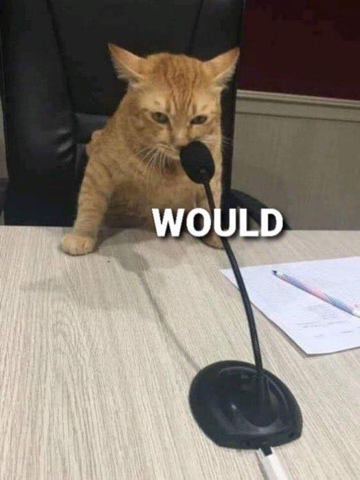 would-cat-meme.jpg