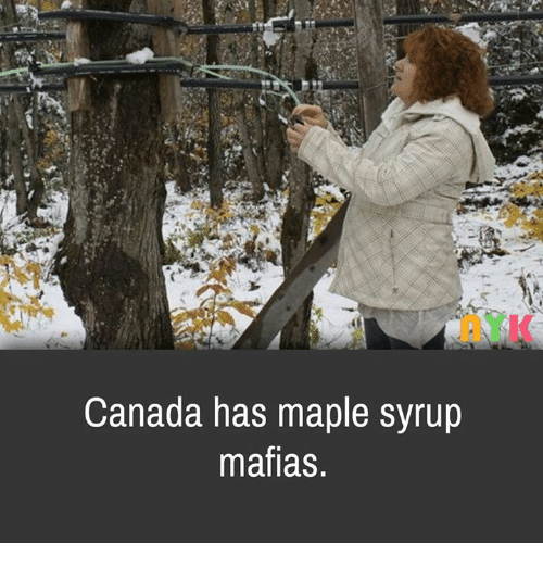 ayk-canada-has-maple-syrup-mafias-28016790.png